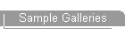 Sample Galleries